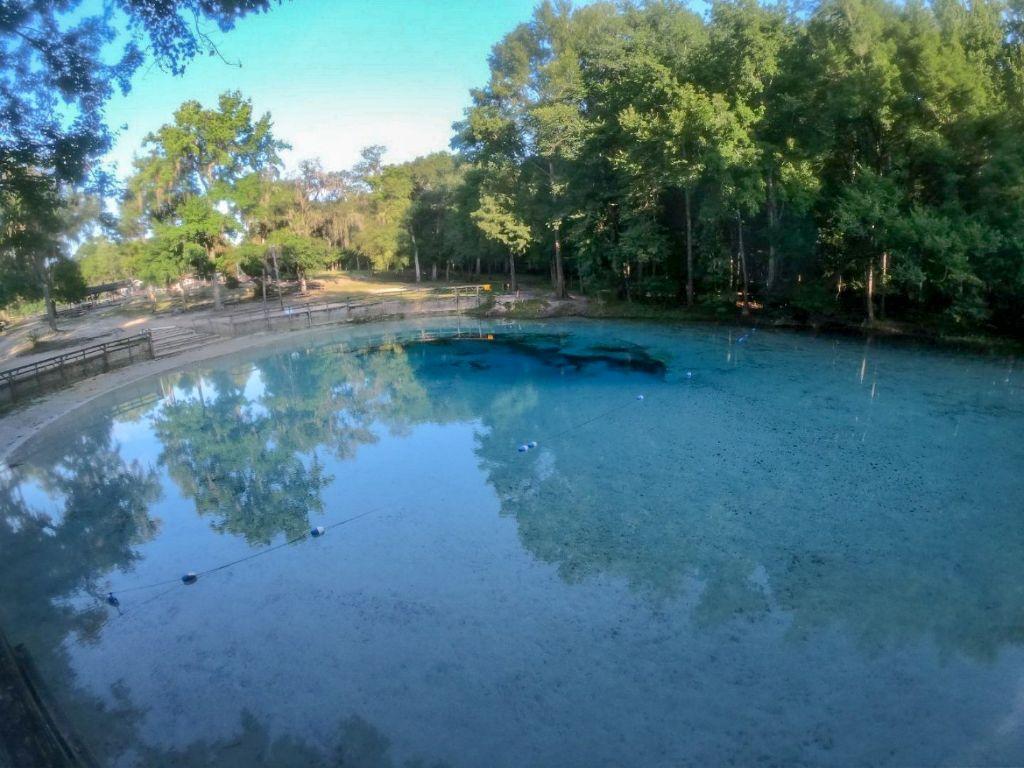 Devil's Den Loop in Micanopy, FL, Oct 25, 2019